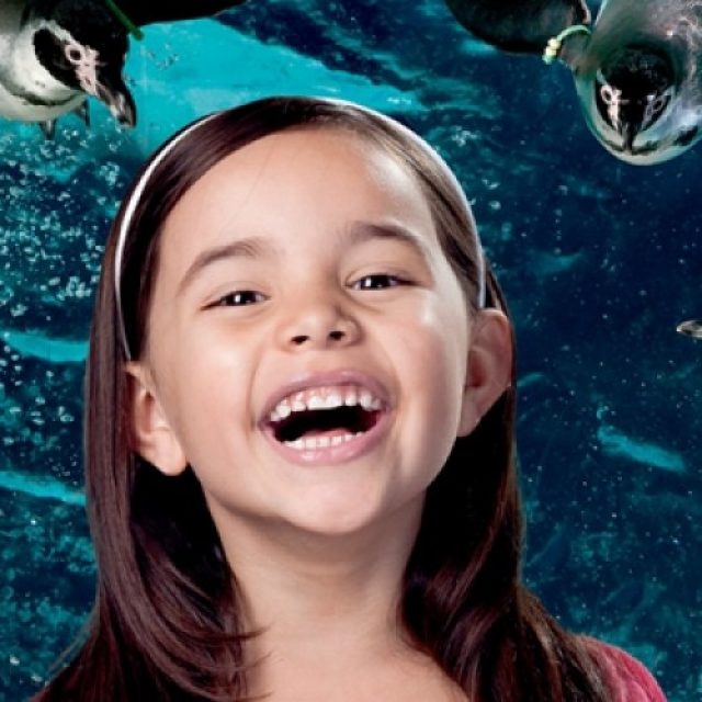 Acquario di Cattolica