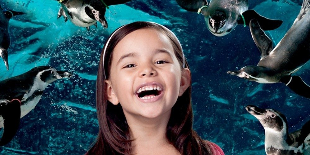 Acquario di Cattolica